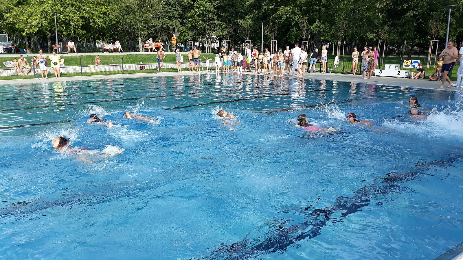 Łazarski Wyścig Australijski - Dzieci płyną w basenie letnim