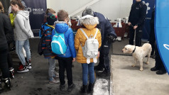 Lodowisko Chwiałka - Pies policyjny i dzieci