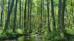 Spływ kajakowy - kajak na rzece w lesie